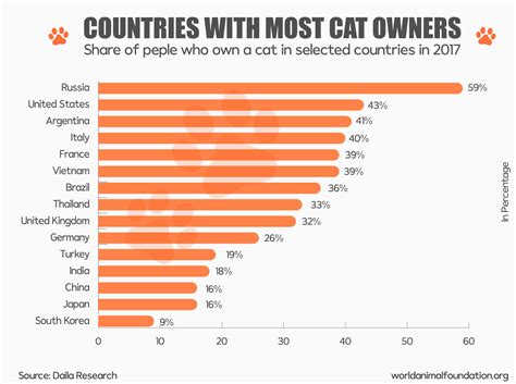 Cat Statistics That All Cat Lovers Should Know In 2024