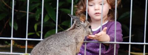 Paradise Valley Springs Wildlife Park | Rotorua NZ