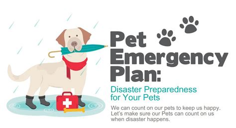 Pet Emergency Plan: Disaster Preparedness for Your Pets | Pet emergency ...