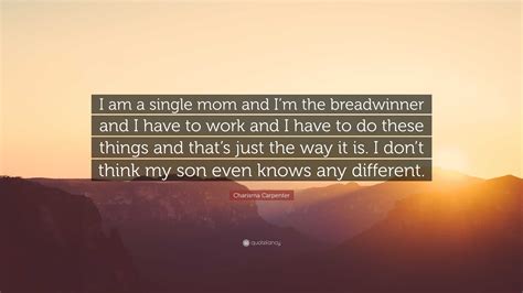 13+ Inspirational Quotes For The Breadwinner - Swan Quote