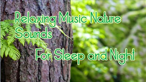 Relaxing Music Nature Sounds For Sleep and Night. - YouTube