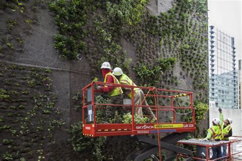 Nation’s largest green wall of native plants breathes life into SFMOMA ...