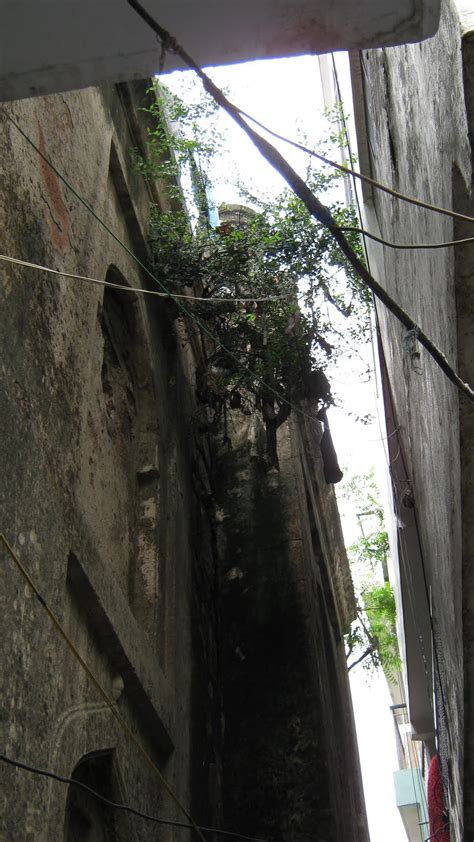 Chasing History: unknown monument in munirka village