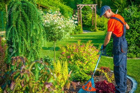 Quels sont les travaux de jardinage à effectuer en été?