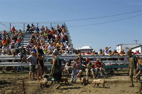 2013 Ottawa County Fair - The Blade