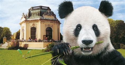 Zoo Schönbrunn - Partner of the Danube Tower