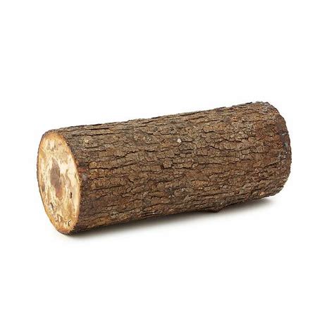 Uncommon Goods | Shiitake Mushroom Log Kit | Grow Mushrooms, Mushroom ...