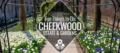 Fun Things To Do: Cheekwood Estate and Gardens | Nashville Guru