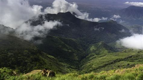 Green Valley View | Tamil Nadu