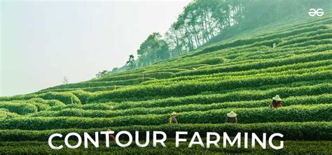 Contour Farming - Definition, Process, Benefits, Examples and FAQs