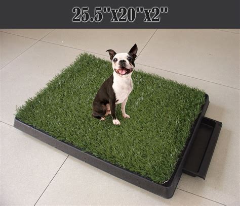 Cassandra M's Place: 3 Piece Indoor Dog Potty Tray Review