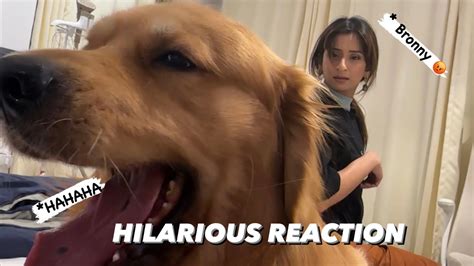 The reactions were hilarious .. 🤣 - YouTube