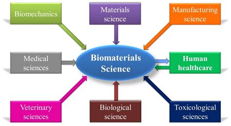 Biomaterials and Tissue Engineering | Fifteen Eighty Four | Cambridge ...