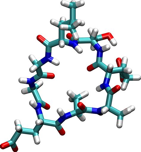 Cyclic Peptides – YSL Lab