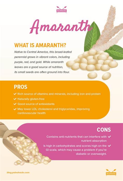 Amaranth: Paleo-Friendly Seed vs. Harmful Grain