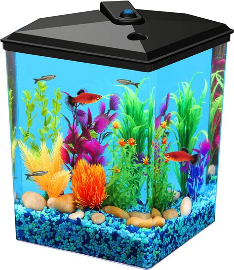 2.5 Gallon Fish Tanks - Options and Reviews 2023 | A Little Bit Fishy