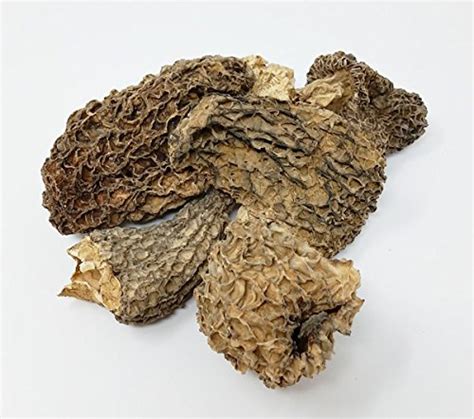 Dried Morel Mushrooms | Pricepulse