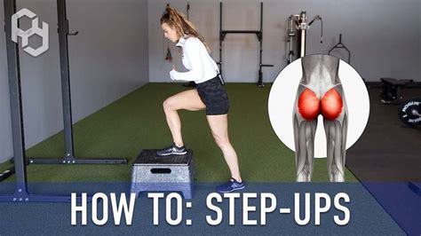 How to Perform Step Ups (Glute Focused) | How to Target & Grow Bigger Glutes in 2023 | Step up ...