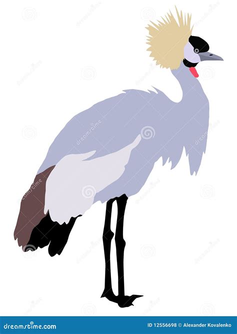 African crowned crane stock vector. Illustration of shape - 12556698