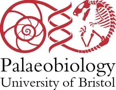 Red And Black And Transparent, 1500 Dpi, Png - University Of Bristol ...