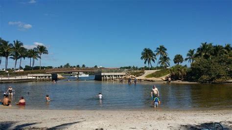 Walk along the intercoastal Dubois Park - Picture of Dubois Park ...