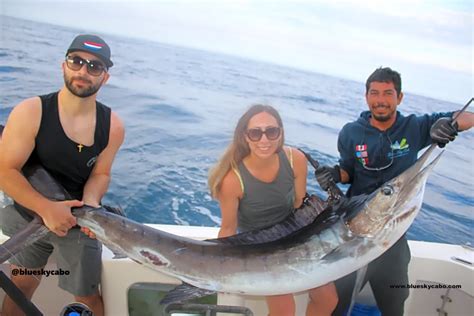 Cabo Marlin Fishing SeaSon - Blue Sky Cabo