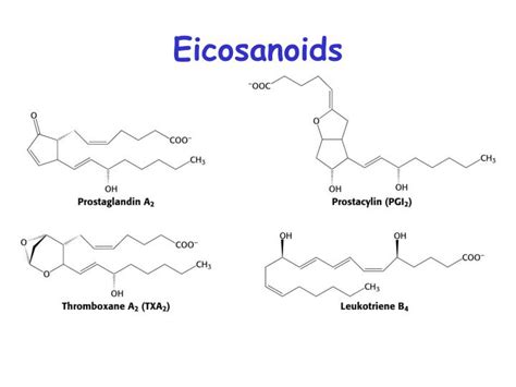 PPT - Synthesis of Eicosanoids, Glycerolipids and Isoprenoids PowerPoint Presentation - ID:833231