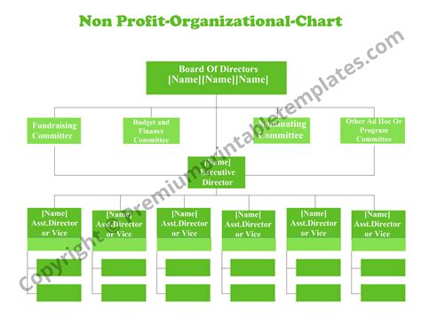 Non-Profit Organizational Chart Printable Template [Pack of 5]