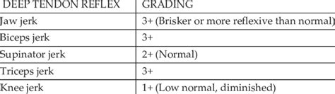 Deep Tendon Reflex Scale