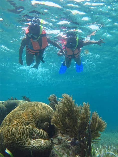 Snorkeling tour Puerto Morelos - Diving in Puerto Morelos OmDelfin ...