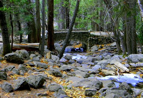 Yosemite National Park | From the Lilypad