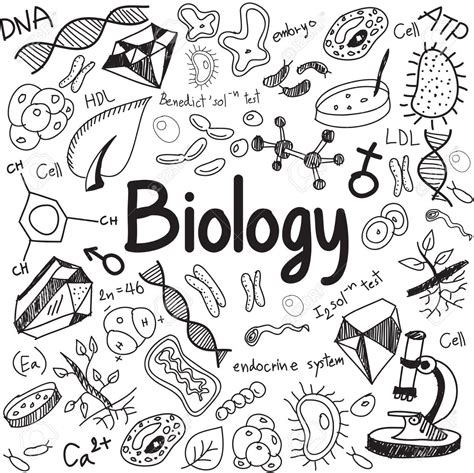 Biologie Vorlage Biologie Deckblatt Selbst Gestalten