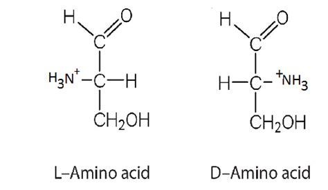 describe about D and L forms of amino acids with example - Chemistry - Biomolecules - 8773093 ...