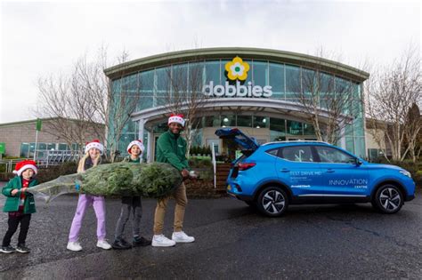 Dobbies Swindon prepare for 'Bring Your Christmas Tree Home Day'