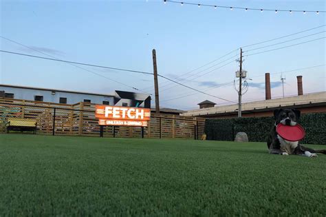 Atlanta’s first dog-park restaurant concept, Fetch, could open soon in Old Fourth Ward - Curbed ...