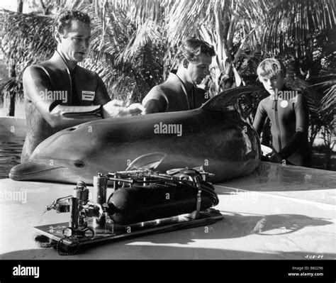 Flipper le dauphin Flipper Year: 1964 - TV-Series 1964-1968 USA Luke Stock Photo: 22173346 - Alamy