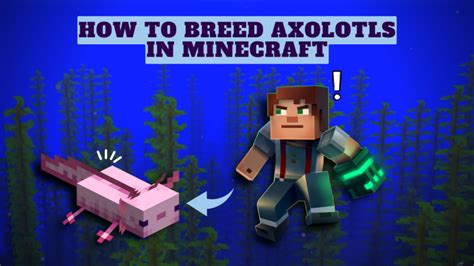 How to Breed Axolotls in Minecraft - KiwiPoints