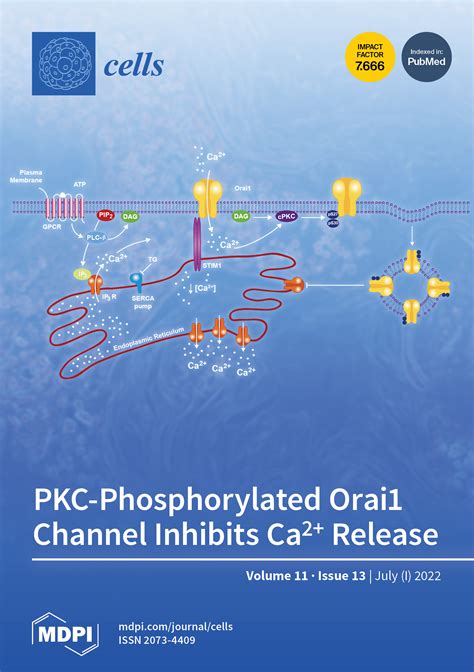 Cells | Issue Cover Articles in 2022