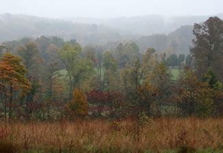 Eastern Wild Turkey Habitat - I AM Turkey Hunting!