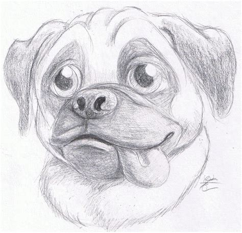 Daily Drawing Day 45 Pug by MidnightHuntingWolf on DeviantArt