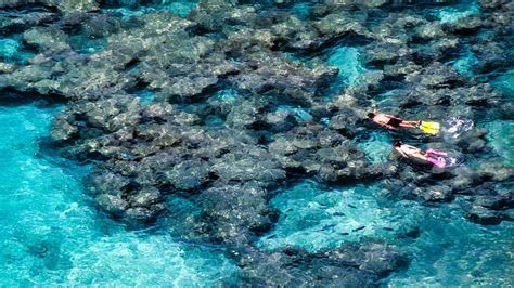 Hanauma Bay: A Solo Snorkeler’s Paradise – DesertDivers