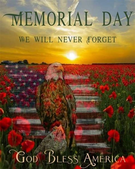 We Will Never Forget: Memorial Day Pictures, Photos, and Images for ...