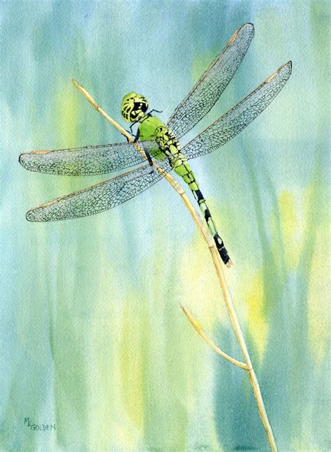 Green Dragonfly giclee print from a watercolor