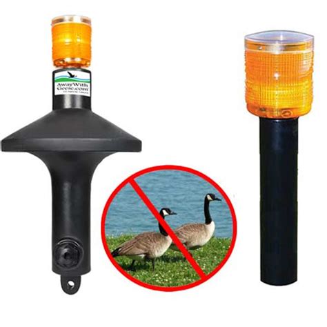 Geese Repellent | Geese Deterrent | The Weeder's Digest