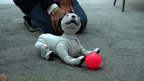 Sony’s New Aibo Robot Dog Might Be Launched Next Month | Ubergizmo