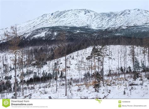 View of the High Tatras Mountains in the Tatra National Park in Slovakia at Winter. Stock Photo ...