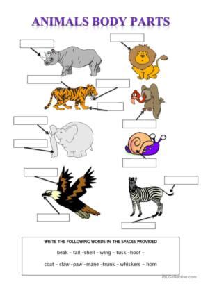 2,834 Animals English ESL worksheets pdf & doc