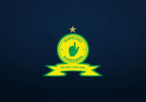 SUNDOWNS UNVEIL UPGRADED LOGO | Daily Sun