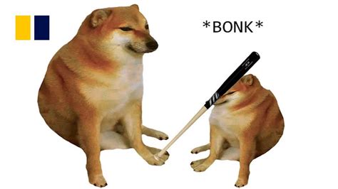 ‘Bonk’ meme dog dies after cancer battle - YouTube