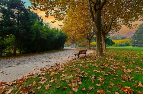 Premium Photo | Botanical park bursa turkey